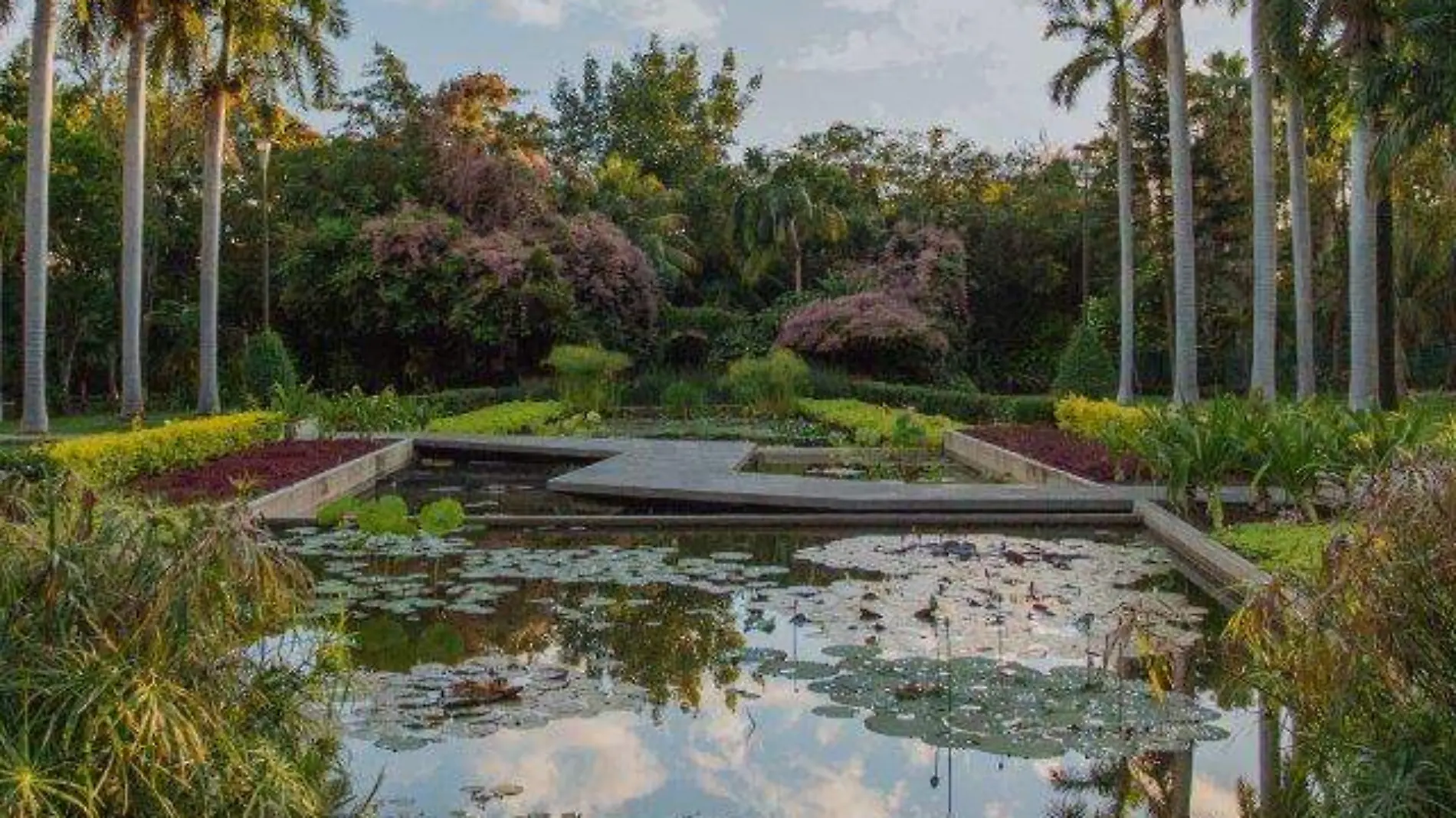 Jardín Botánico